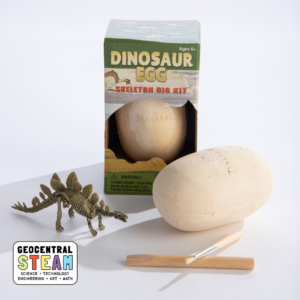Dig Kit: Dinosaur Egg with Skeleton