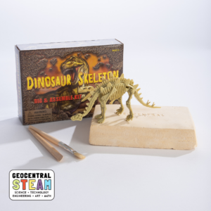 Dig Kit: Dinosaur Skeleton