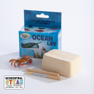 Mini Dig Kit: Ocean Life