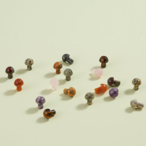 Assorted Mini Mushrooms