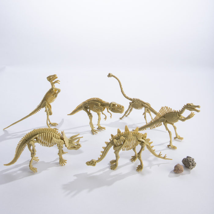 Excavation Kit: Dinosaur Skeleton