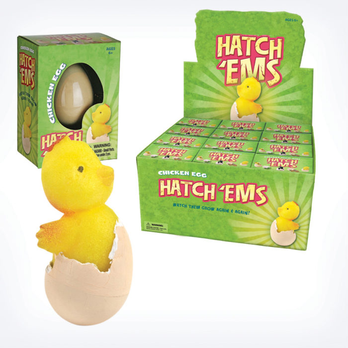 Chicken Eggs (Hatch'ems)