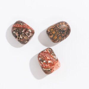 Tumbled Leopard Skin Jasper
