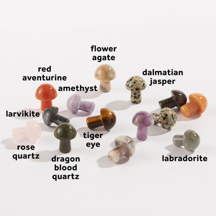 A variety of wholesale carved crystal mushrooms with the stone types labeled: amethyst, red aventurine, larvikite, rose quartz, dragon blood quartz, tiger eye, labradorite, dalmatian jasper, flower agate