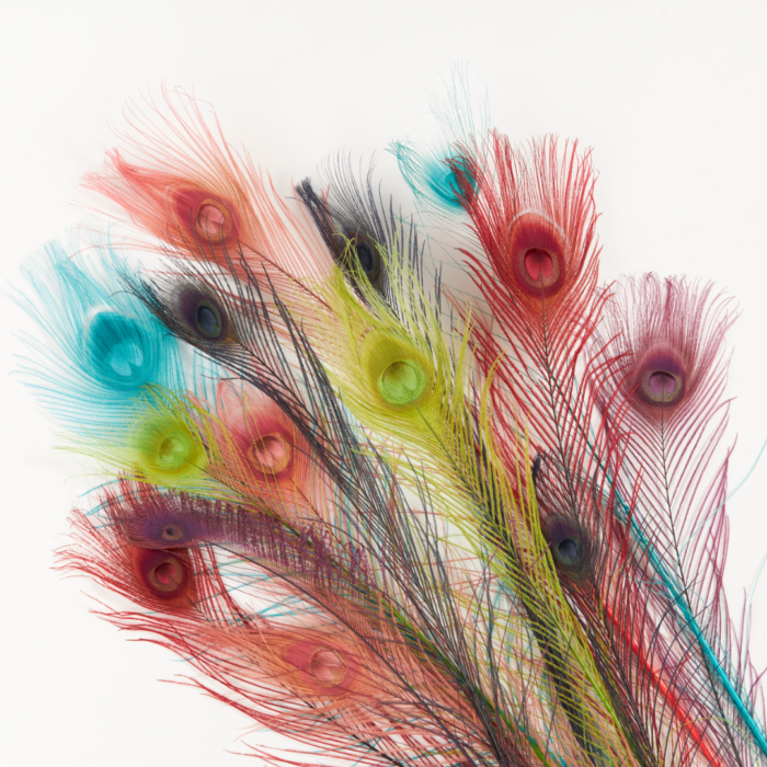 Product-Images-2024-15