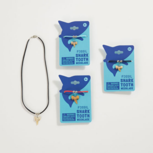 wholesale kids souvenir fossil shark tooth necklace on blue backer card