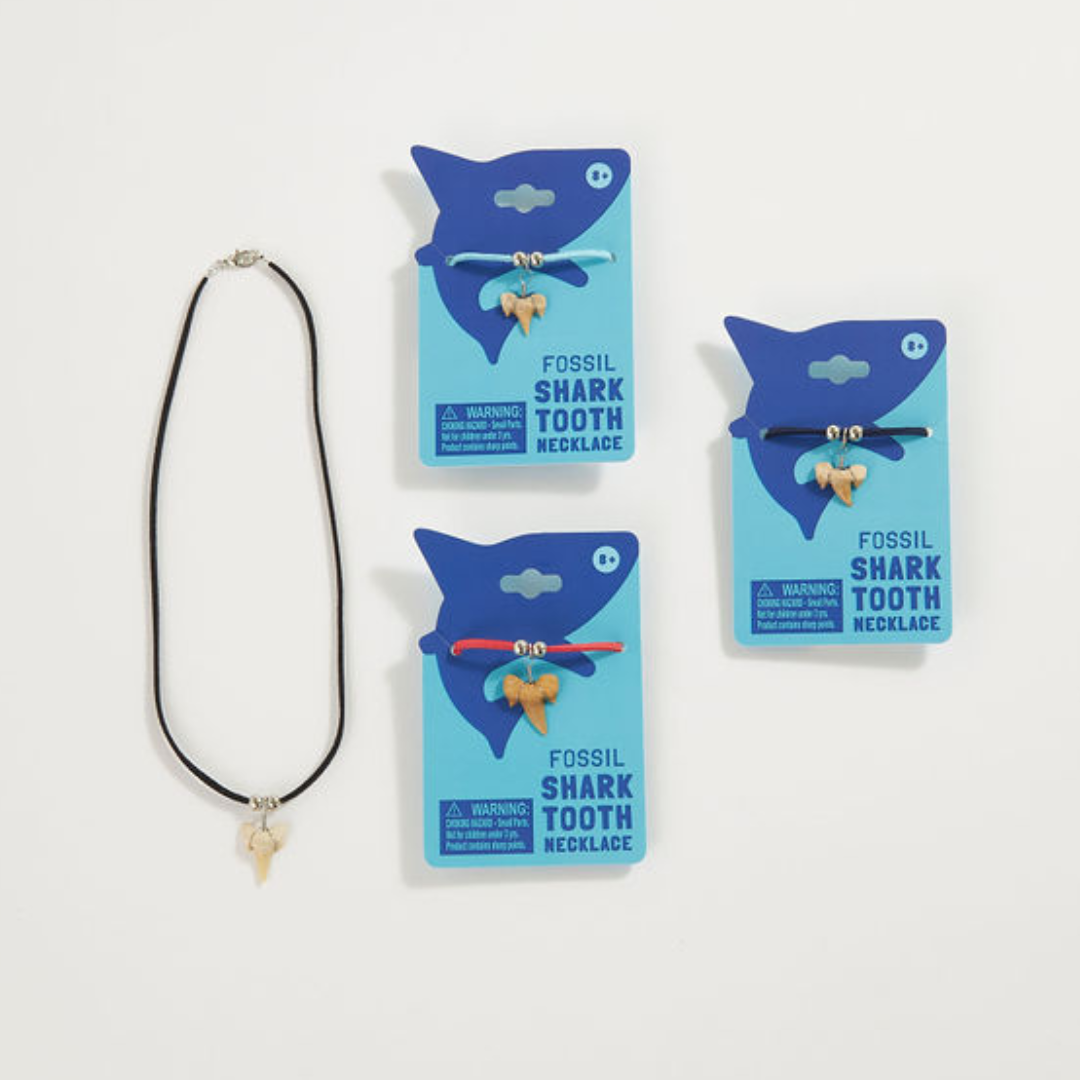 wholesale kids souvenir fossil shark tooth necklace on blue backer card