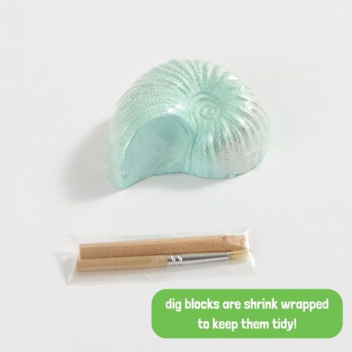 Ocean Treasure Dig Kit - GeoCentral
