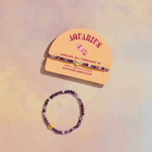 Aquarius Mini Zodiac Bracelet