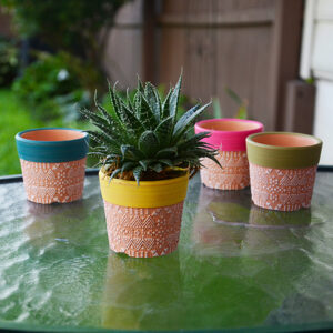 Mini Terracotta Planter Assortment - 24 pc