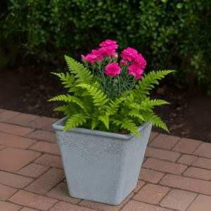 Light Gray Damask Planter (Small)