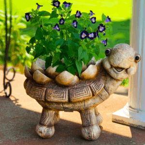 Friendly Turtle Planter