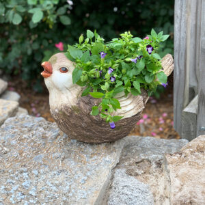 Mini Singing Bird Planter