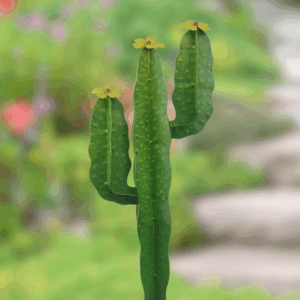 3D Cactus Garden Stake w/ Yellow Flowers - 20"
