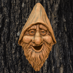 Outdoor Tree Face Birdhouse - "Harry"