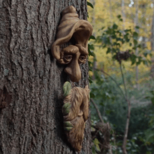 "Hank" Outdoor Tree Face