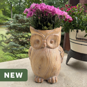 Woodland Whimsy Owl Planter