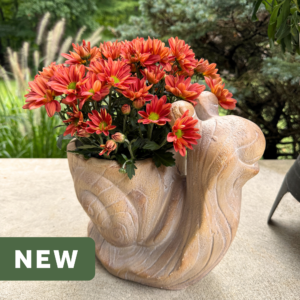 Woodland Whimsy Snail Planter