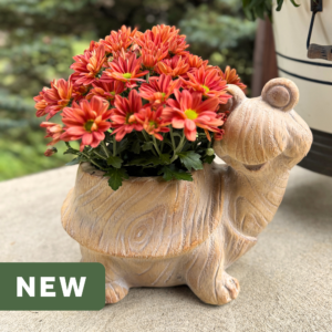 Woodland Whimsy Turtle Planter