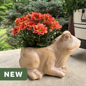 Woodland Whimsy Frog Planter