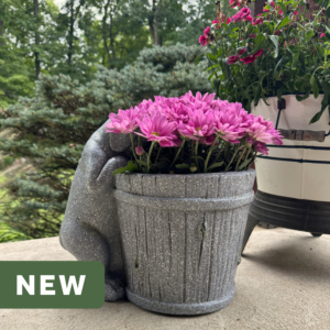 Porch Pups - Curious Companion