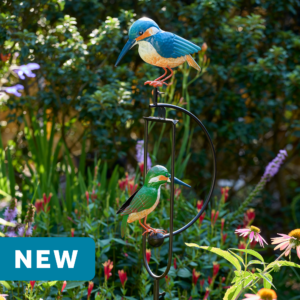 wholesale garden balance rocker featuring blue and green hummingbirds on an outdoor background with greenery