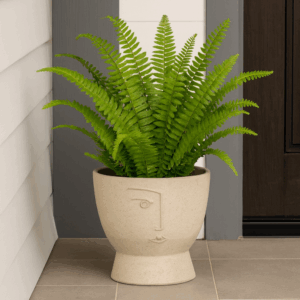 Surrealist Face Planter