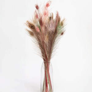 Pastel Peacock Feathers